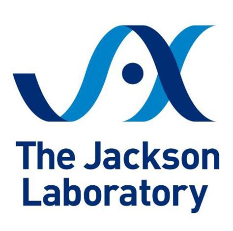 Jax lab - The Jackson Laboratory has made fundamental contributions to biomedical research, including cancer genetics and establishing the mouse as the premier research animal …